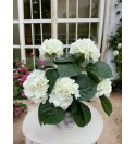 Kunstig hvid hortensia plante H: 43 cm. pr. stk.