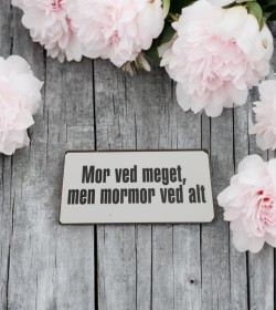 Hvid magnet 5x10 cm. Mor...